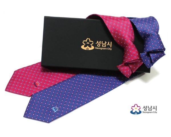 성남시청